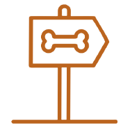 Riverciew City Loni and Riverview City magarpatta